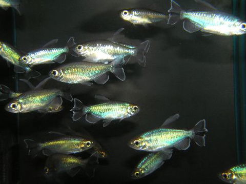 River To Reef Aquarium - Accommodation VIC 3