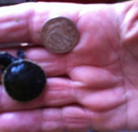 Hurleys Aquariums - Accommodation VIC