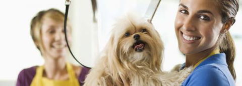 Port Stephens Pet Barn - Accommodation VIC 1