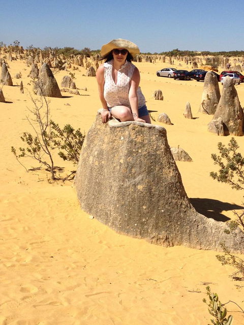 Pinnacles Desert, Koalas And Sandboarding 4WD Day Tour From Perth - Accommodation VIC 18