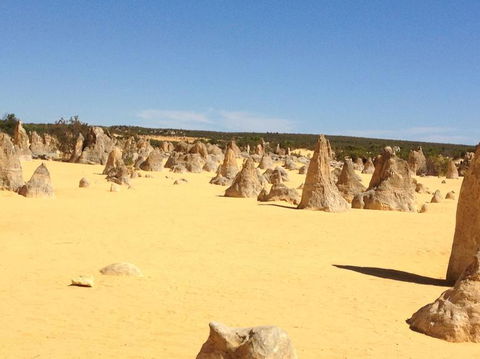 Pinnacles Desert, Koalas And Sandboarding 4WD Day Tour From Perth - Accommodation VIC 15