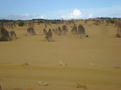 Pinnacles Desert, Koalas And Sandboarding 4WD Day Tour From Perth - Accommodation VIC 23