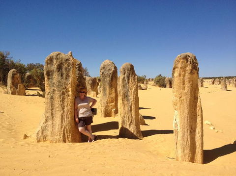 Pinnacles Desert, Koalas And Sandboarding 4WD Day Tour From Perth - Accommodation VIC 17