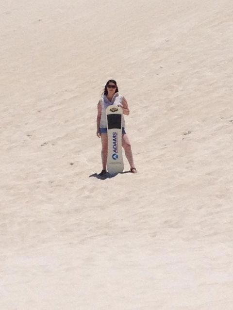 Pinnacles Desert, Koalas And Sandboarding 4WD Day Tour From Perth - Accommodation VIC 21