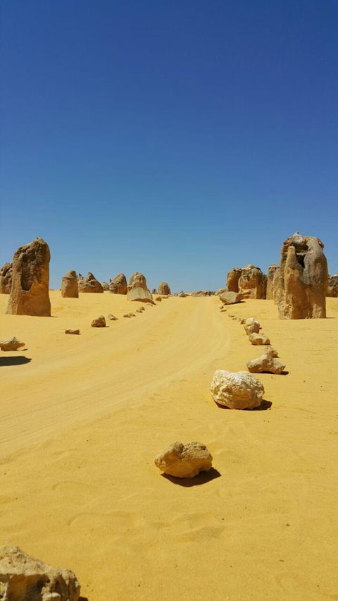 Pinnacles Desert, Koalas And Sandboarding 4WD Day Tour From Perth - Accommodation VIC 3