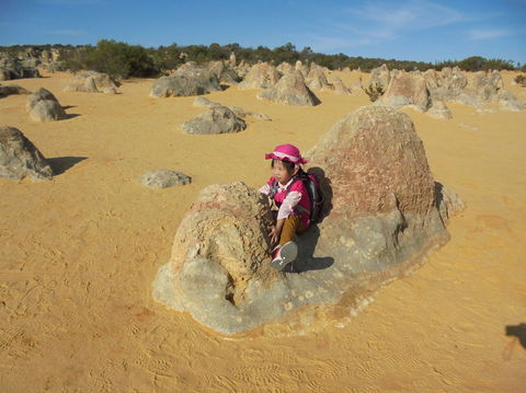 Pinnacles Desert, Koalas And Sandboarding 4WD Day Tour From Perth - Accommodation VIC 7