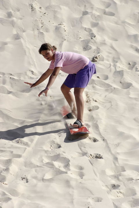 Pinnacles Desert, Koalas And Sandboarding 4WD Day Tour From Perth - Accommodation VIC 24