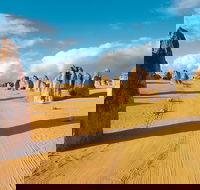 Pinnacles Desert Koalas and Sandboarding 4WD Day Tour from Perth - Accommodation VIC