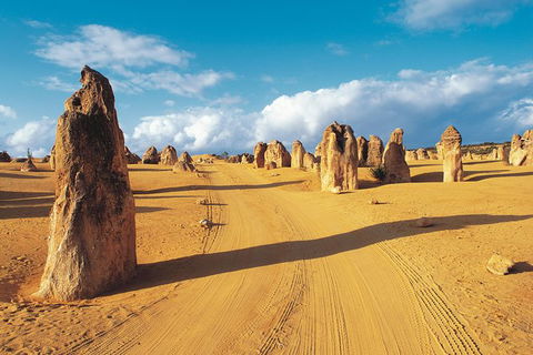 Pinnacles Desert, Koalas And Sandboarding 4WD Day Tour From Perth - Accommodation VIC 0