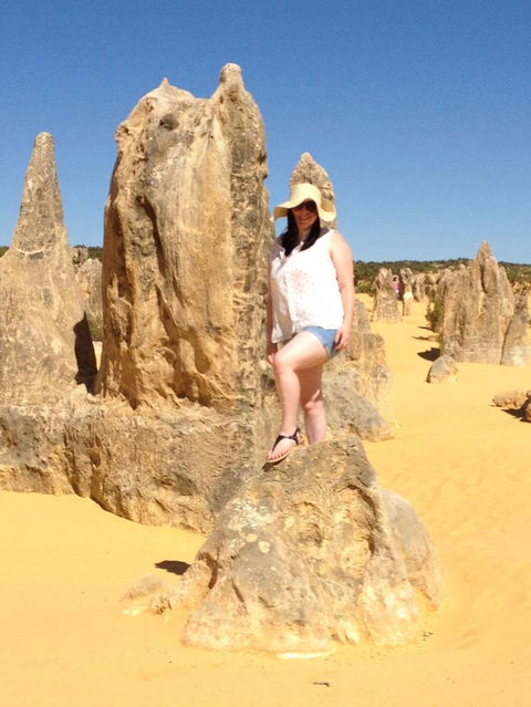 Pinnacles Desert, Koalas And Sandboarding 4WD Day Tour From Perth - Accommodation VIC 16