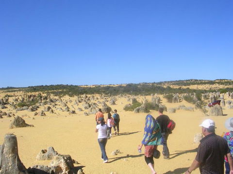 Pinnacles Desert, Koalas And Sandboarding 4WD Day Tour From Perth - Accommodation VIC 25