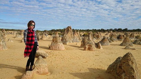 Pinnacles Desert, Koalas And Sandboarding 4WD Day Tour From Perth - Accommodation VIC 13