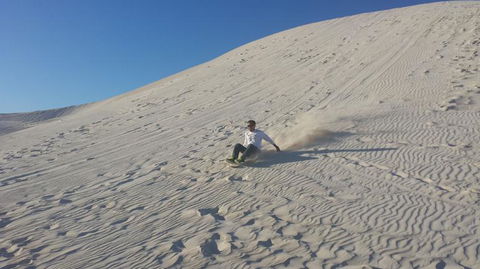 Pinnacles Desert, Koalas And Sandboarding 4WD Day Tour From Perth - Accommodation VIC 14