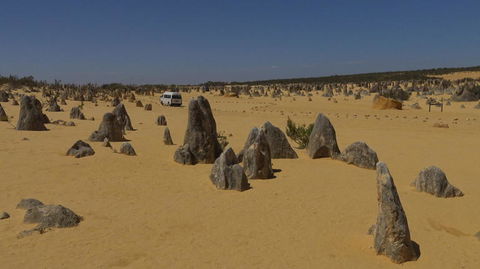 Pinnacles Desert, Koalas And Sandboarding 4WD Day Tour From Perth - Accommodation VIC 4