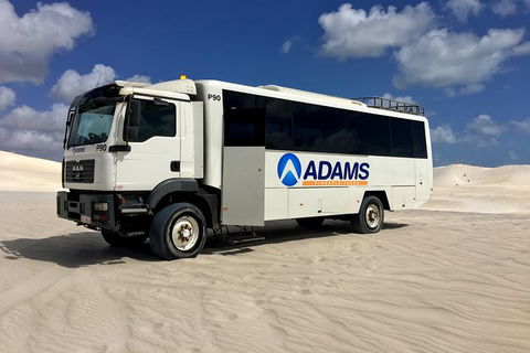 Pinnacles Desert, Koalas And Sandboarding 4WD Day Tour From Perth - Accommodation VIC 28