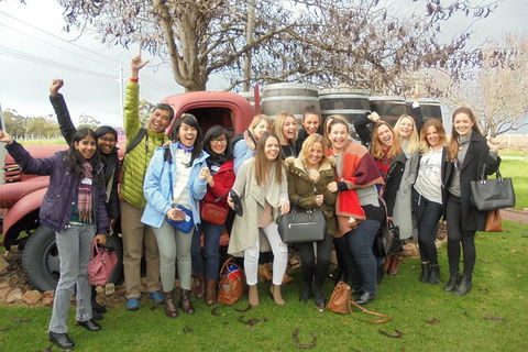 1/2 Day Swan Valley Wine Cheese & Chocolate Tour Inc Afternoon Cruise To Perth - Accommodation VIC 5