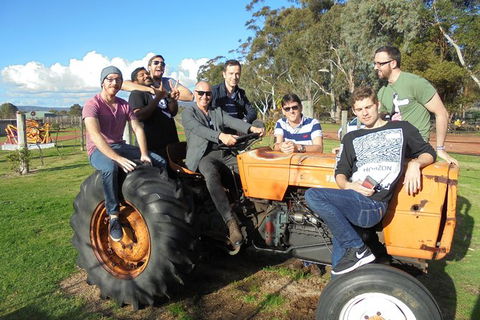 1/2 Day Swan Valley Wine Cheese & Chocolate Tour Inc Afternoon Cruise To Perth - Accommodation VIC 8