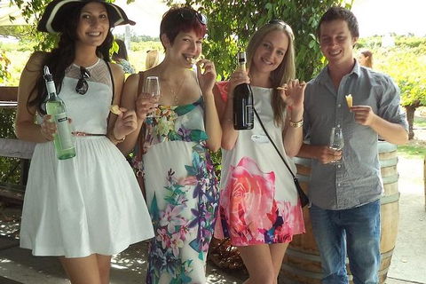 1/2 Day Swan Valley Wine Cheese & Chocolate Tour Inc Afternoon Cruise To Perth - Accommodation VIC 2