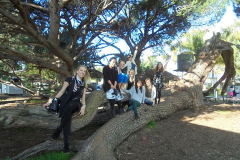 1/2 Day Swan Valley Wine Cheese & Chocolate Tour Inc Afternoon Cruise To Perth - Accommodation VIC 10