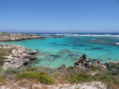 Rottnest Island Tour From Perth Or Fremantle Including Adventure Speed Boat Ride - Accommodation VIC 3