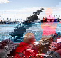 Rottnest Island Tour from Perth or Fremantle including Adventure Speed Boat Ride - Accommodation VIC