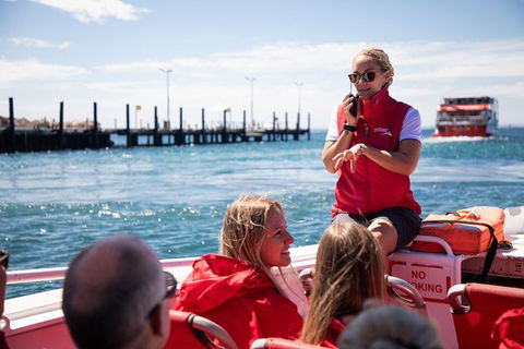 Rottnest Island Tour From Perth Or Fremantle Including Adventure Speed Boat Ride - Accommodation VIC 0