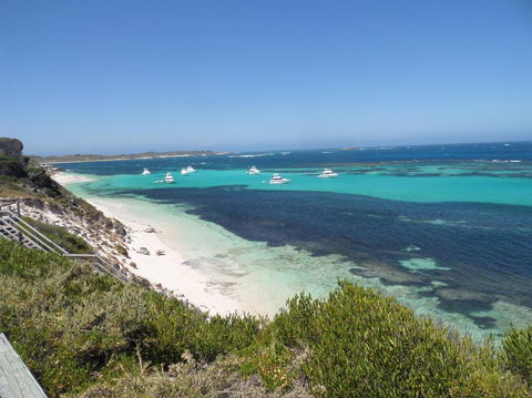 Rottnest Island Tour From Perth Or Fremantle Including Adventure Speed Boat Ride - Accommodation VIC 2