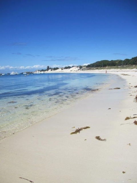 Rottnest Island Tour From Perth Or Fremantle Including Adventure Speed Boat Ride - Accommodation VIC 4