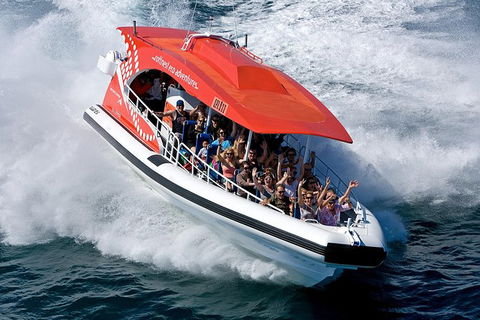 Rottnest Island Tour From Perth Or Fremantle Including Adventure Speed Boat Ride - Accommodation VIC 11