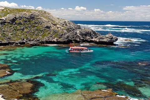 Rottnest Island Tour From Perth Or Fremantle Including Adventure Speed Boat Ride - Accommodation VIC 10