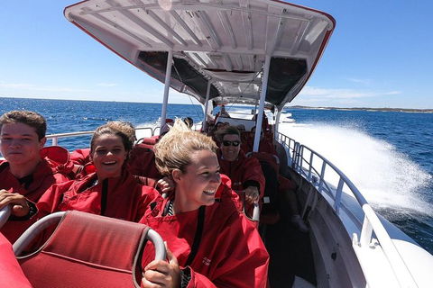 Rottnest Island Tour From Perth Or Fremantle Including Adventure Speed Boat Ride - Accommodation VIC 8