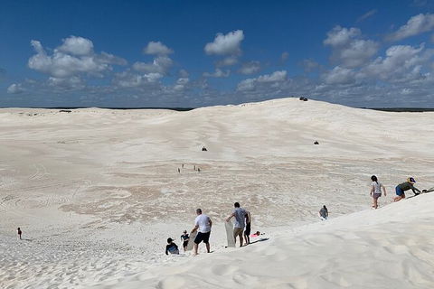 Pinnacles Day Trip From Perth Including Yanchep National Park - Accommodation VIC 3