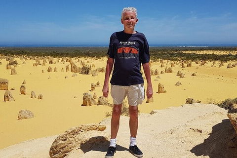 Pinnacles Day Trip From Perth Including Yanchep National Park - Accommodation VIC 7