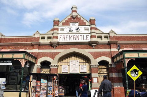 Full-Day Penguin Island & Fremantle Town - Accommodation VIC 1