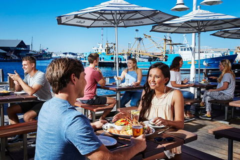 Full-Day Penguin Island & Fremantle Town - Accommodation VIC 7