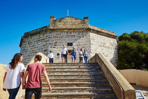Full-Day Penguin Island & Fremantle Town - Accommodation VIC 4