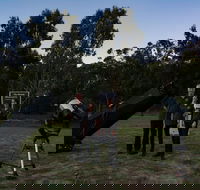 Stargazing Busselton with Mobile Observatory - Accommodation VIC