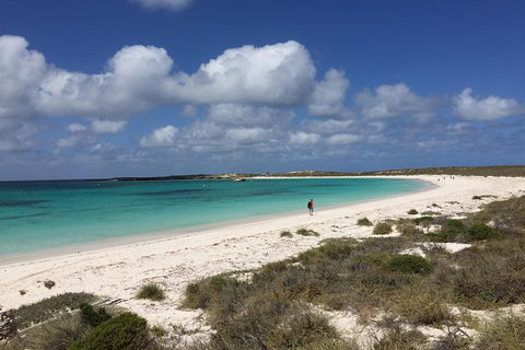 Abrolhos Island Half Day Fly And Flipper - Accommodation VIC 0