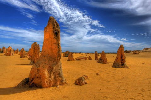 Full Day Pinnacle Desert Explorer From Perth Including Hillarys And Lancelin Sandboarding - Accommodation VIC 5