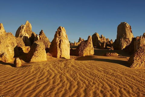 Full Day Pinnacle Desert Explorer From Perth Including Hillarys And Lancelin Sandboarding - Accommodation VIC 7