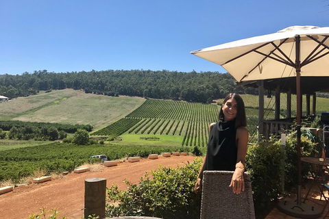 Small-Group Bickley Valley Wine Tour - Accommodation VIC 0