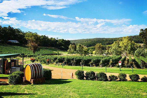 Small-Group Bickley Valley Wine Tour - Accommodation VIC 4