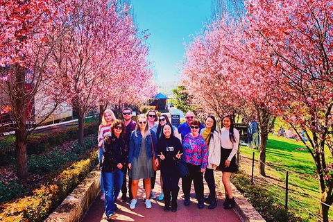 Small-Group Bickley Valley Wine Tour - Accommodation VIC 10