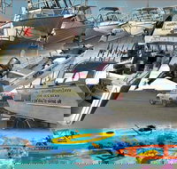 6-Metre Boat Renat Explore Exmouth's Ningaloo Reef - Accommodation VIC