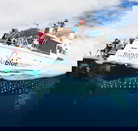 VIP luxury chartered escapes exploring the reef at your own pace - Accommodation VIC