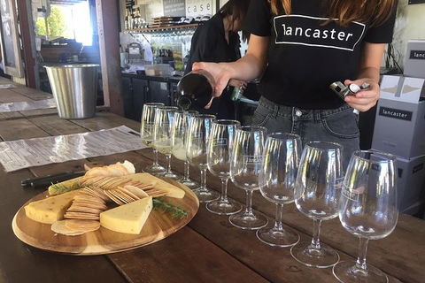 Half Day Swan Valley Wine Tour - Accommodation VIC 1