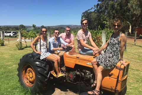 Half Day Swan Valley Wine Tour - Accommodation VIC 6