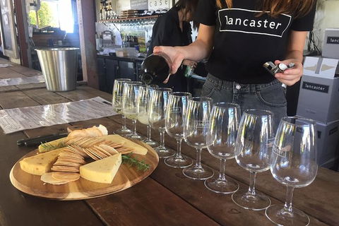 Half Day Swan Valley Wine Tour - Accommodation VIC 5