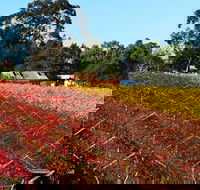 Swan Valley Wine Time Private Day Tour - Accommodation VIC