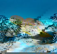 Turtle and Reef Adventure - Accommodation VIC